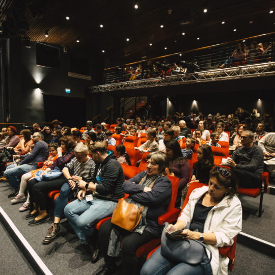 https://www.festivalultanar.ro/wp-content/uploads/2020/03/In-pasi-de-flamenco-cu-Las-Turroneras-Tudor-Troanca-10-540x540.jpg