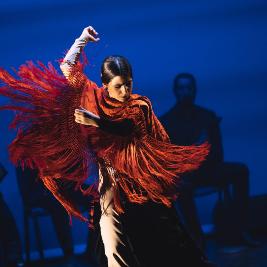 https://www.festivalultanar.ro/wp-content/uploads/2020/03/In-pasi-de-flamenco-cu-Las-Turroneras-Tudor-Troanca-8-540x540.jpg